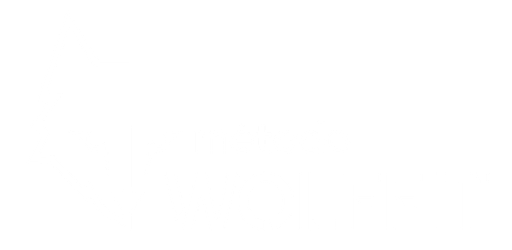 Wolffit